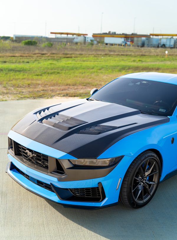 24+ Super Snake Hood