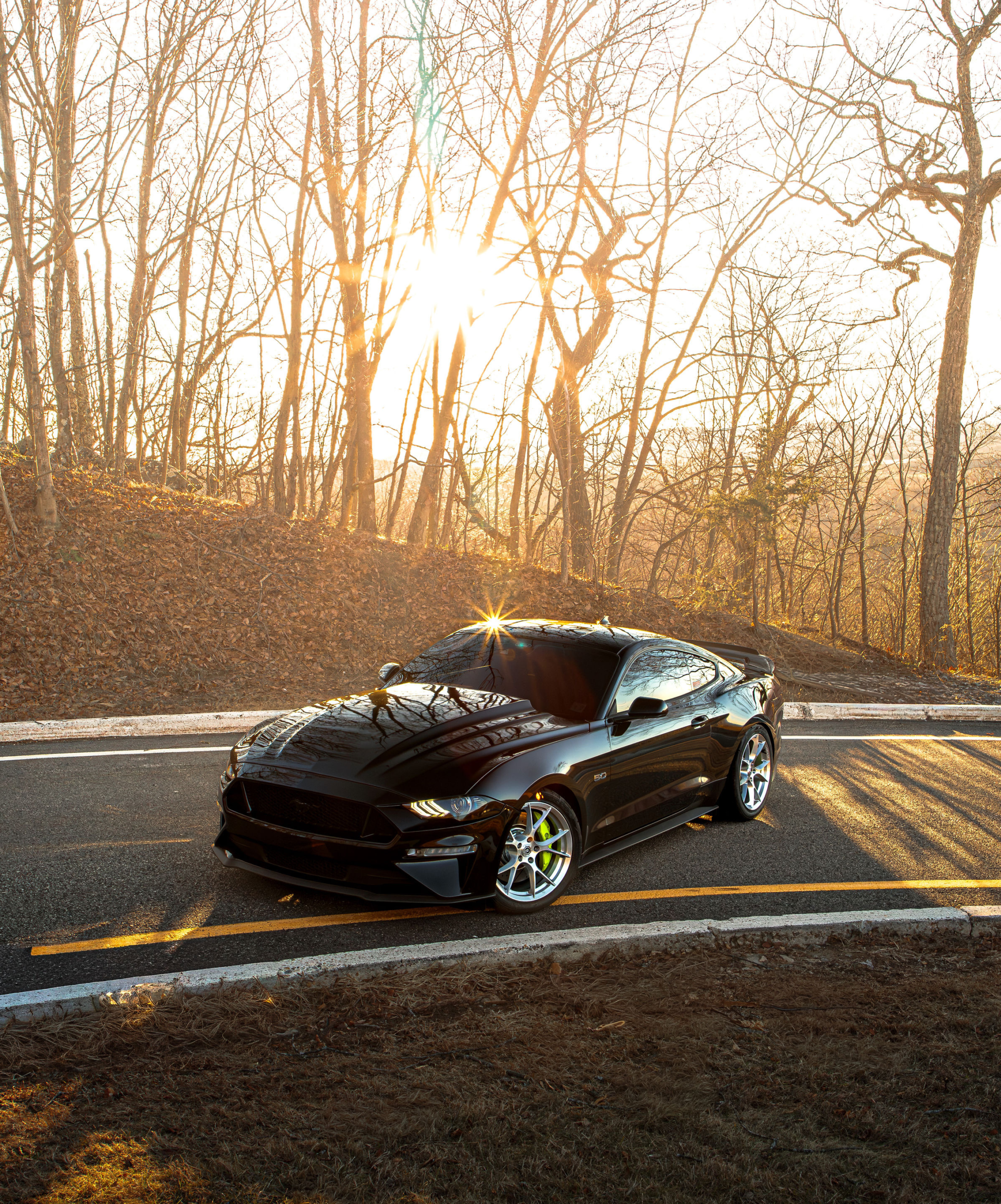 Vengeance IV - Image 3